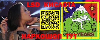крисы Можга