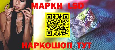 крисы Можга