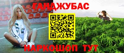 крисы Можга