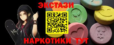 крисы Можга