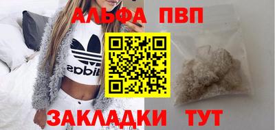крисы Можга