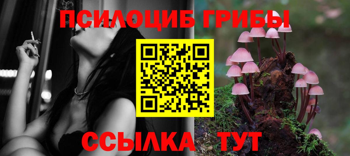 Ростов Великий  Псилоцибиновые грибы MAGIC MUSHROOMS  наркошоп  Вход с VPN 